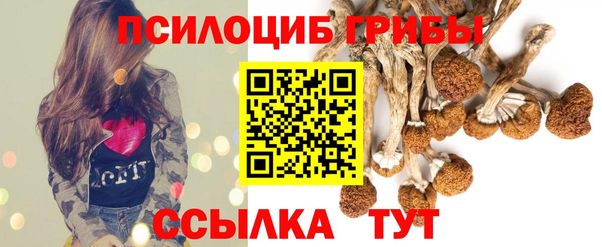 Псилоцибиновые грибы прущие грибы  Вход с VPN  Серпухов 