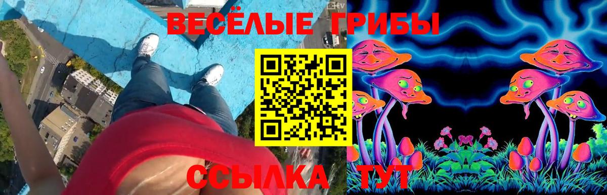 Псилоцибиновые грибы ЛСД Серпухов